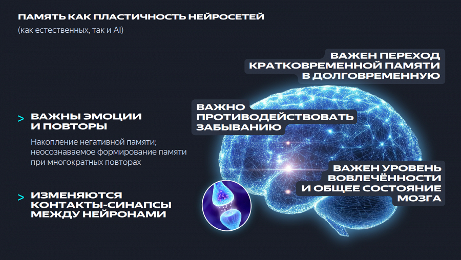 Наша память и наша осознанность делают из нас человеков разумных.