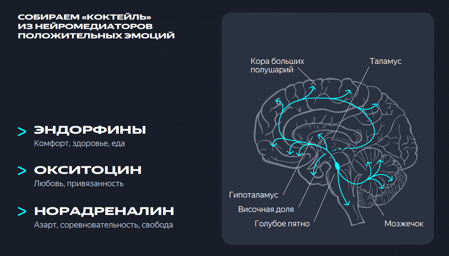 Гормоны счастья - вот что побуждает нас к действиям и развитию.